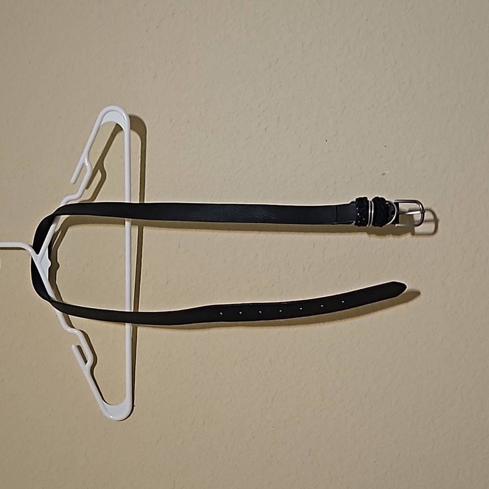 American Eagle Belt